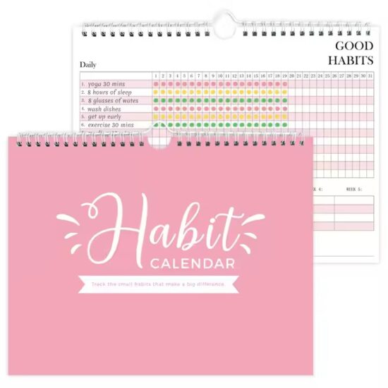 Custom Daily Diary and Goal Planner Calendar for Office Use