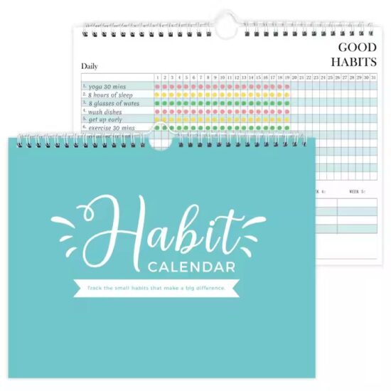 Custom Daily Diary and Goal Planner Calendar for Office Use