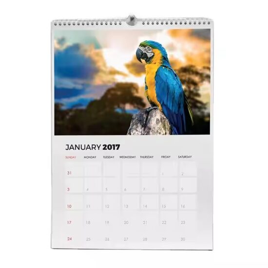 Custom printed professional paper wall calendar