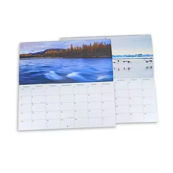 High-Quality Custom Planning Poster Calendar for Office Use

