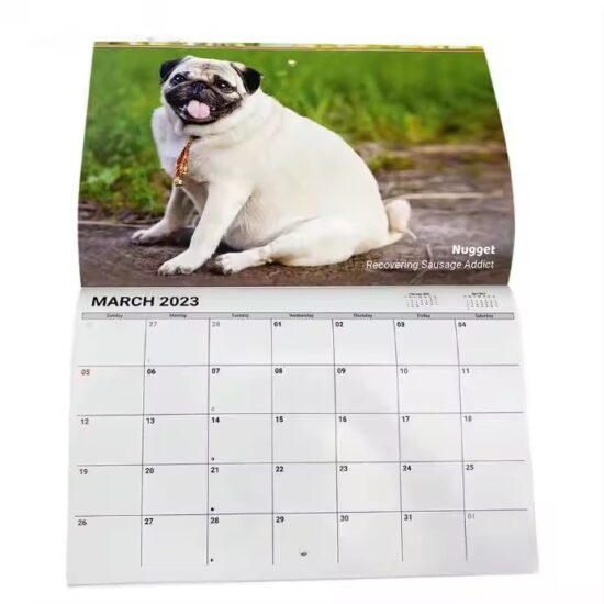Custom colorful New Year wall calendar poster with festive design
