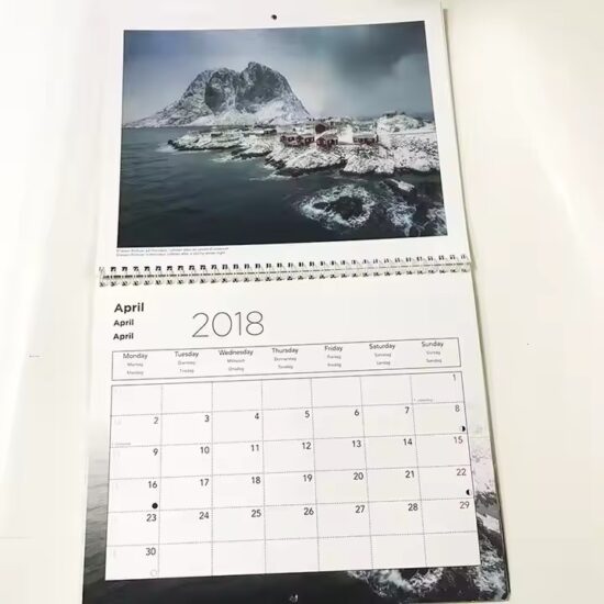 Custom full-color printed planner wall calendar with branding