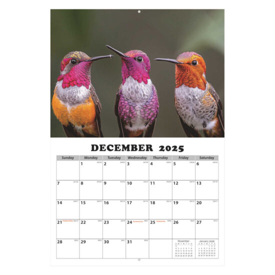 Custom simple wall calendar poster for office or promotional use